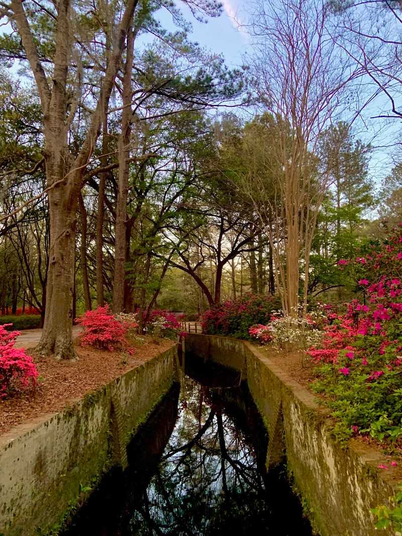 Summerville, Where Sweet Tea and Azaleas Take Over Summerville, Where Sweet Tea and Azaleas Take Over