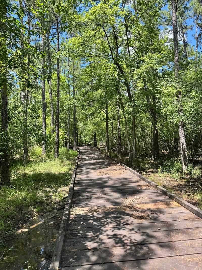 Sundew Trail, Hickory Creek Savannah Unit Sundew Trail, Hickory Creek Savannah Unit