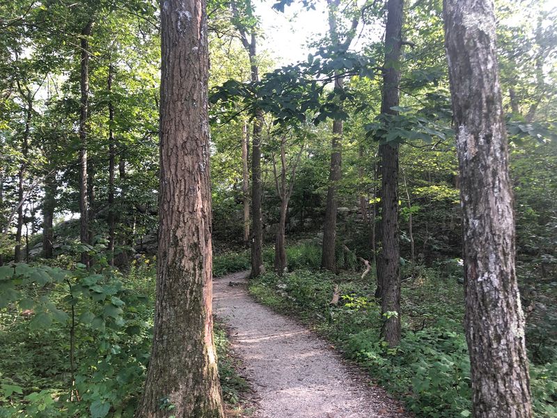 Sunrise Mountain Trail Sunrise Mountain Trail