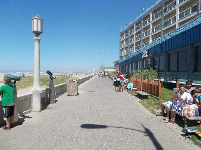 Surrey Bikes And Beach Cruisers Along The Seawall