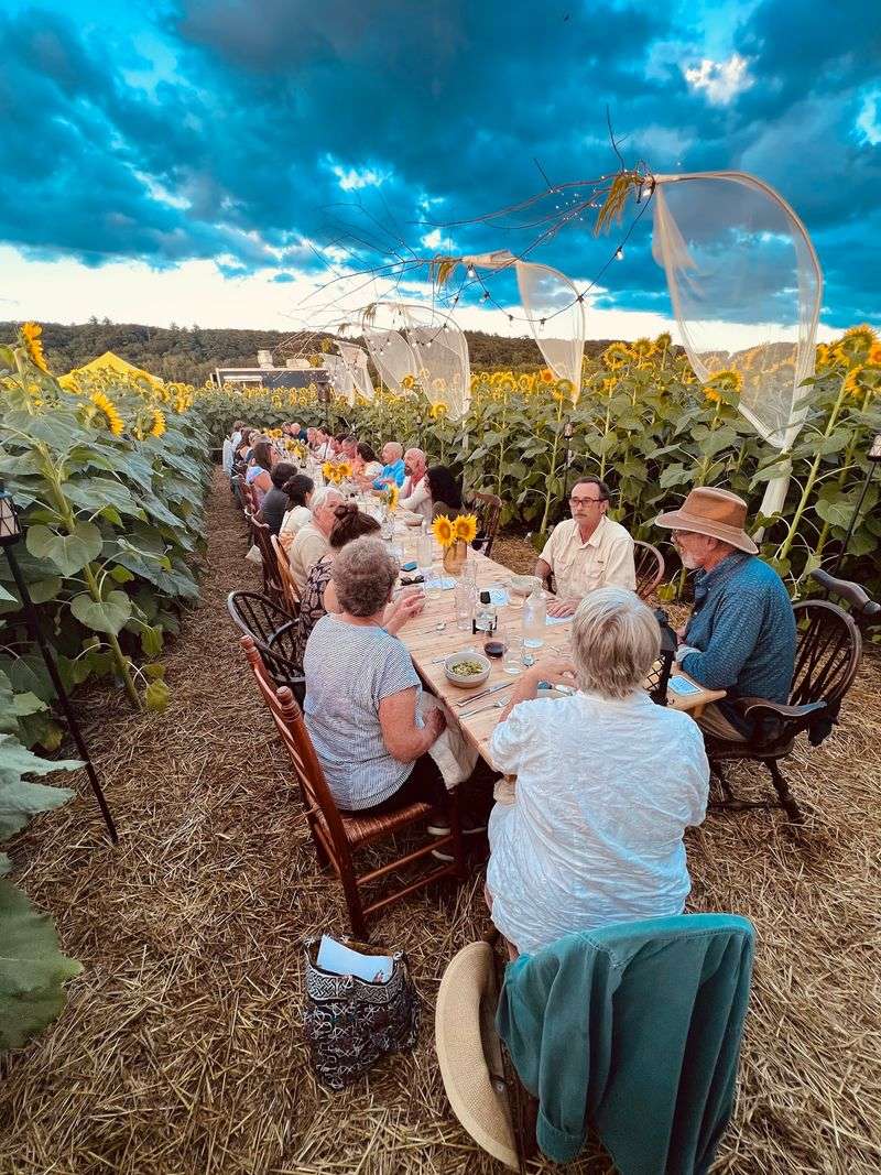 Sustainable Farming at the Heart of It All Sustainable Farming at the Heart of It All
