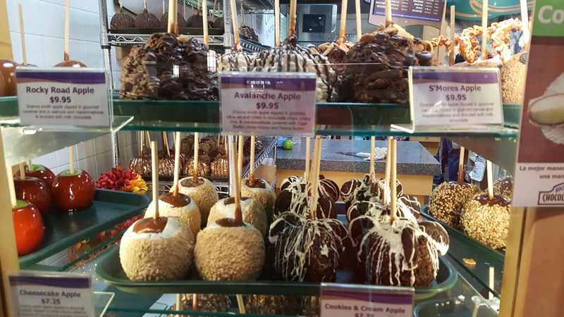Sweet Treats and Quick Bites Between Store Runs