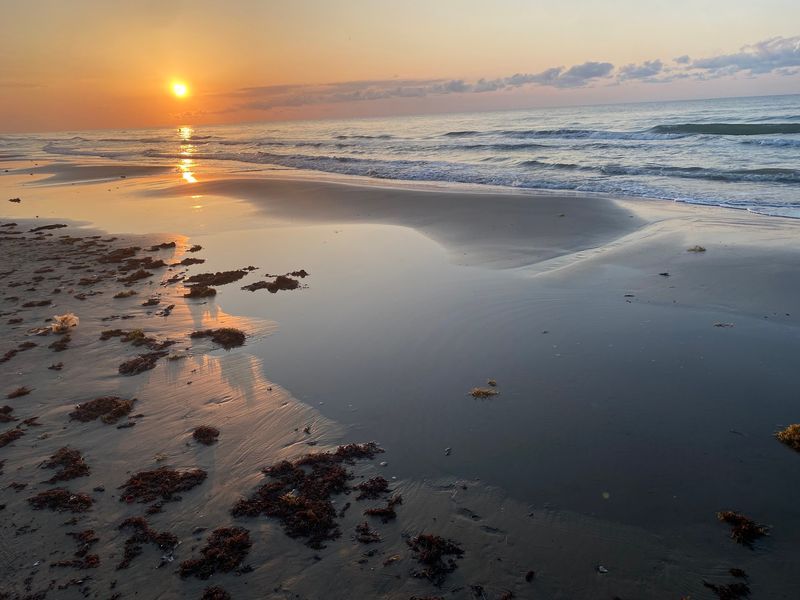 Swimming and Beachcombing Without the Crowds Swimming and Beachcombing Without the Crowds
