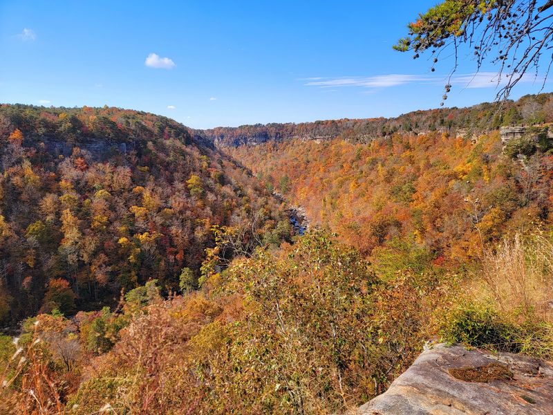 Take In 600-Foot Canyon Walls Through Every Season Take In 600-Foot Canyon Walls Through Every Season