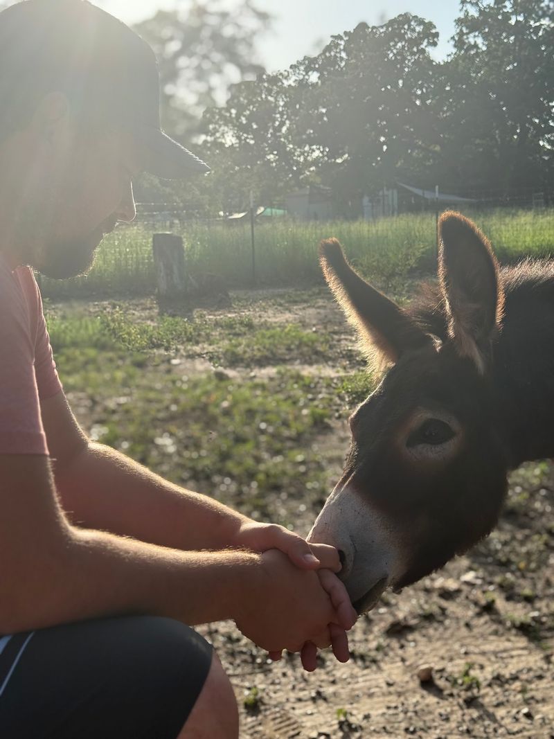 Taking a Guided Tour at the Sanctuary