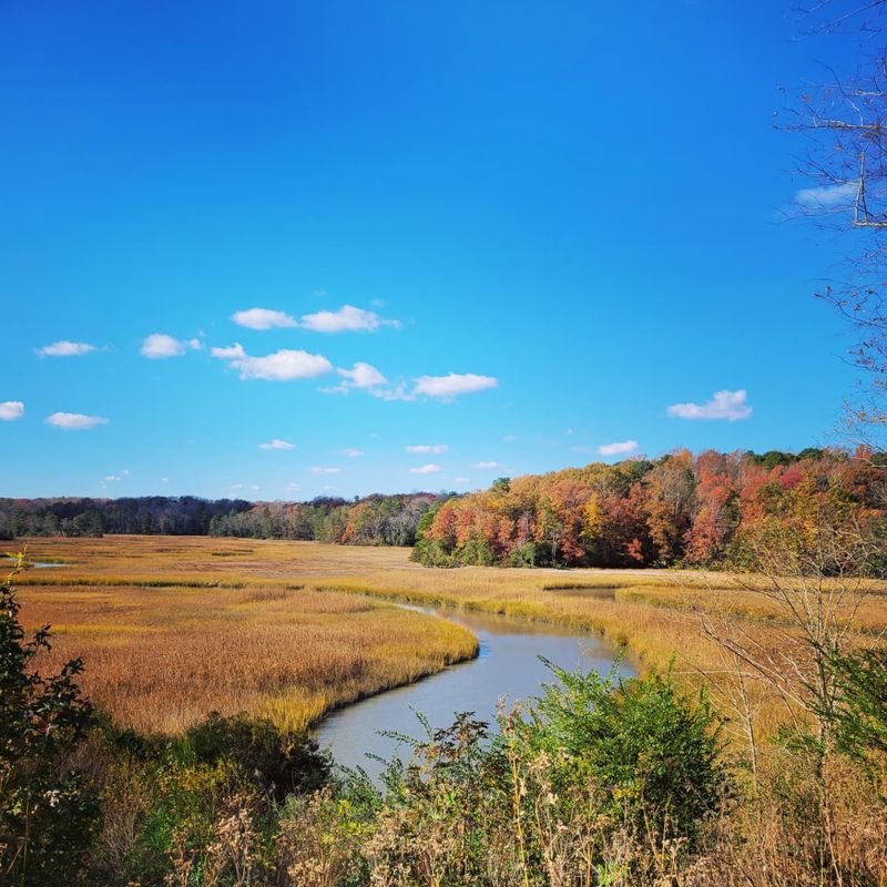 Taskinas Creek, James City County Taskinas Creek, James City County