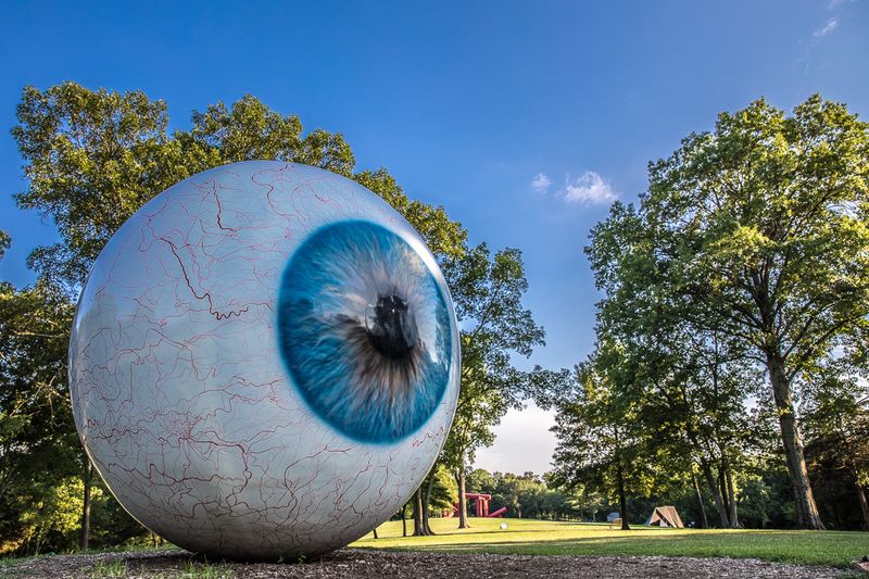 That Giant Eyeball Watching the Meadow