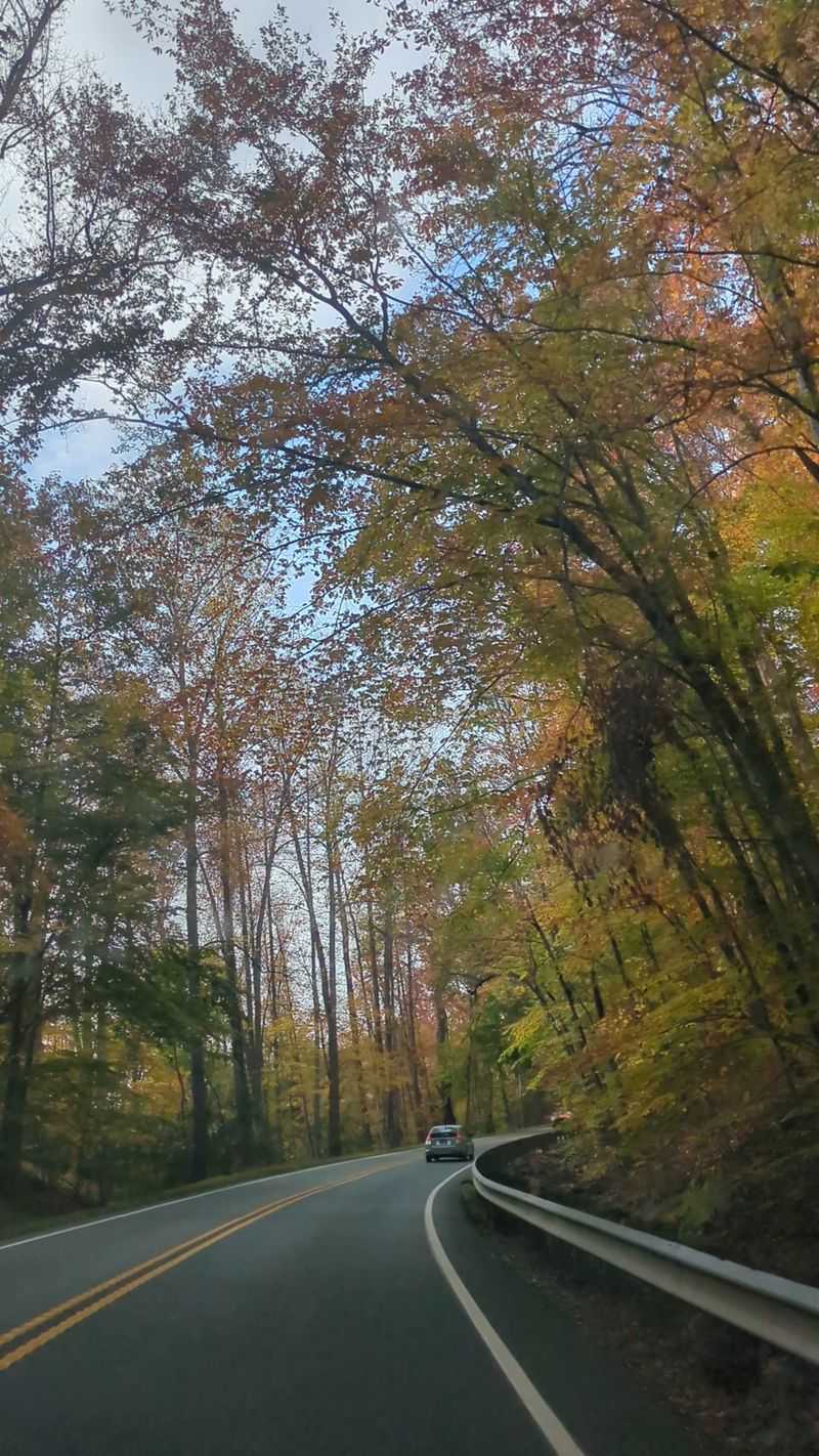That Skinny Gravel Road Is Half the Fun That Skinny Gravel Road Is Half the Fun