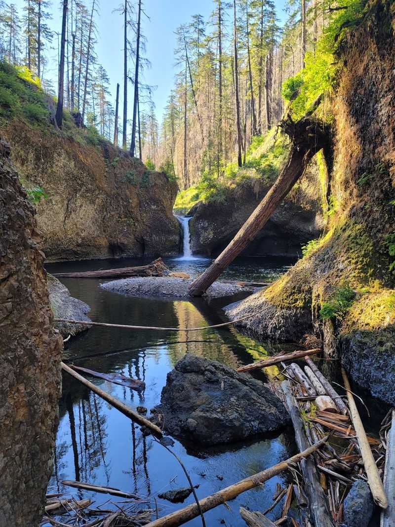 The 2017 Eagle Creek Fire and the Trail's Recovery The 2017 Eagle Creek Fire and the Trail's Recovery