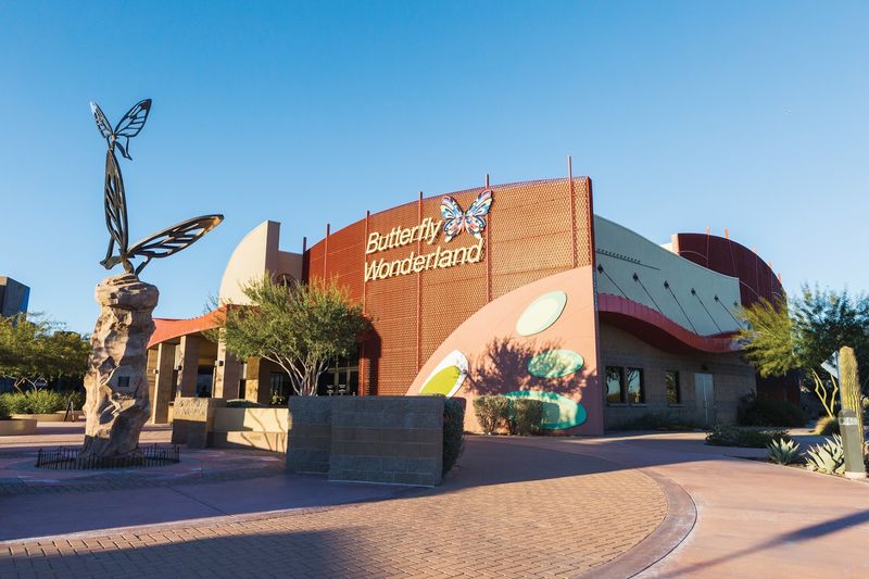 The 3D Theater That Sets the Mood Before You See a Single Wing