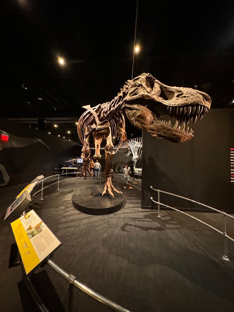 The AMNH Dinosaur Gallery and Its Very Convincing T. rex