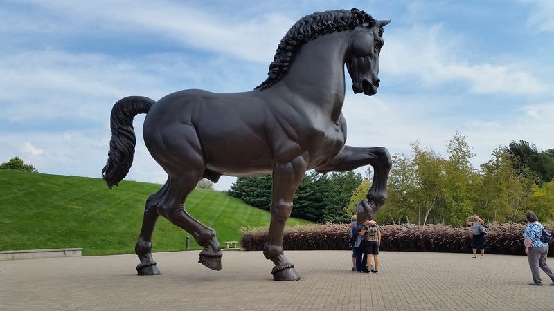 The American Horse Standing Tall Over the Grounds The American Horse Standing Tall Over the Grounds