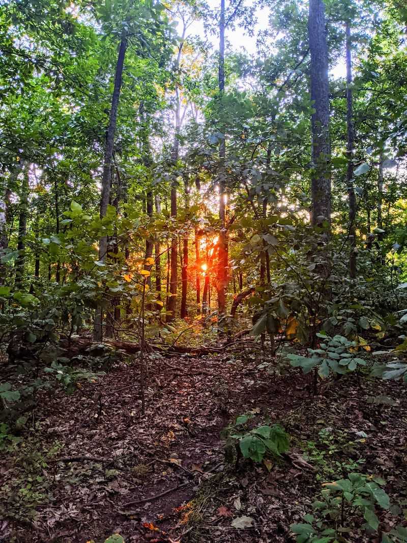 The Appalachian Trail Connection Through the Park