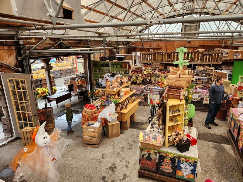 The Bakery and Market Worth Exploring The Bakery and Market Worth Exploring