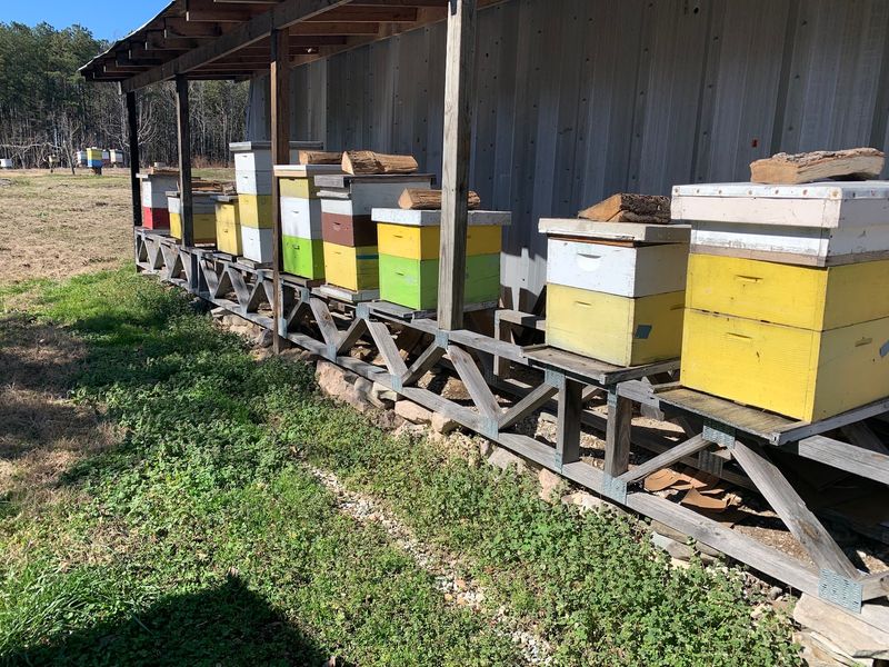 The Bees Are Part Of The Deal