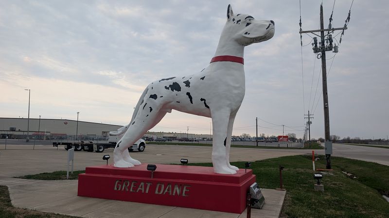 The Best Boy of Roadside Americana