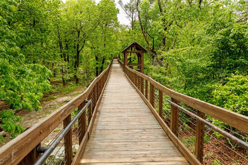 The Boardwalk That Welcomes Absolutely Everyone The Boardwalk That Welcomes Absolutely Everyone