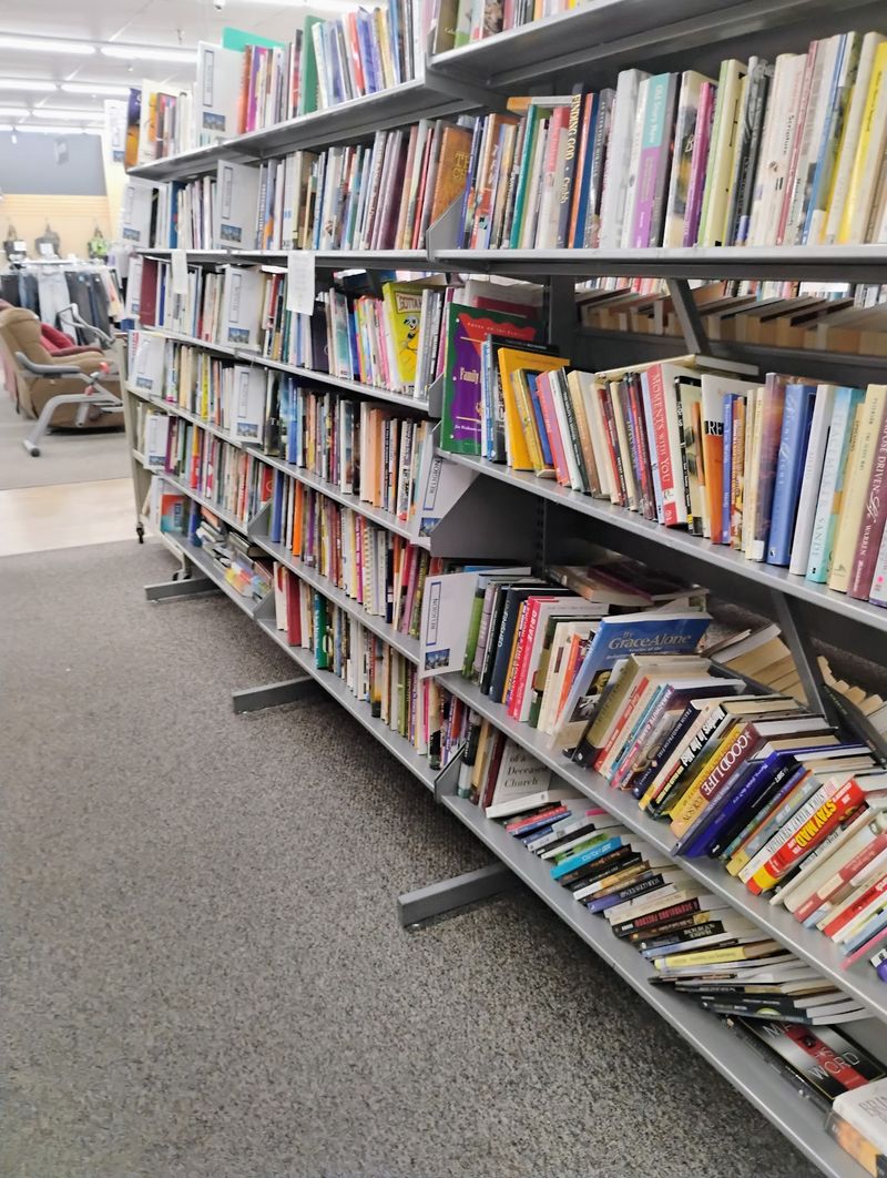 The Book Section That Swallows Entire Afternoons