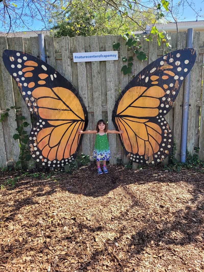 The Butterfly Parade Everyone Joins The Butterfly Parade Everyone Joins