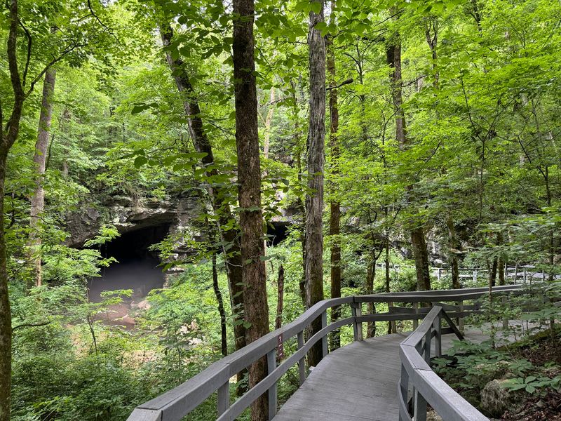 The Cave Entrance Itself Is a Natural Wonder Worth Seeing The Cave Entrance Itself Is a Natural Wonder Worth Seeing