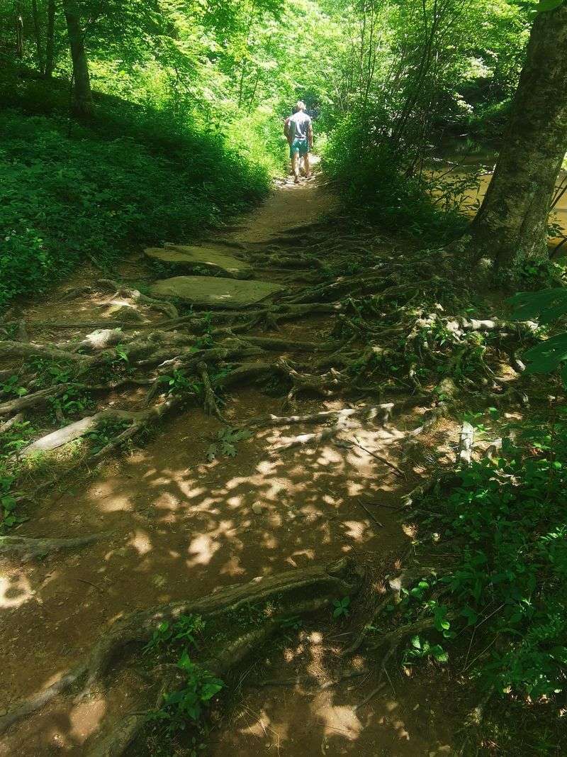The Chinnabee Silent Trail, Your Gateway Into the Deep Forest The Chinnabee Silent Trail, Your Gateway Into the Deep Forest