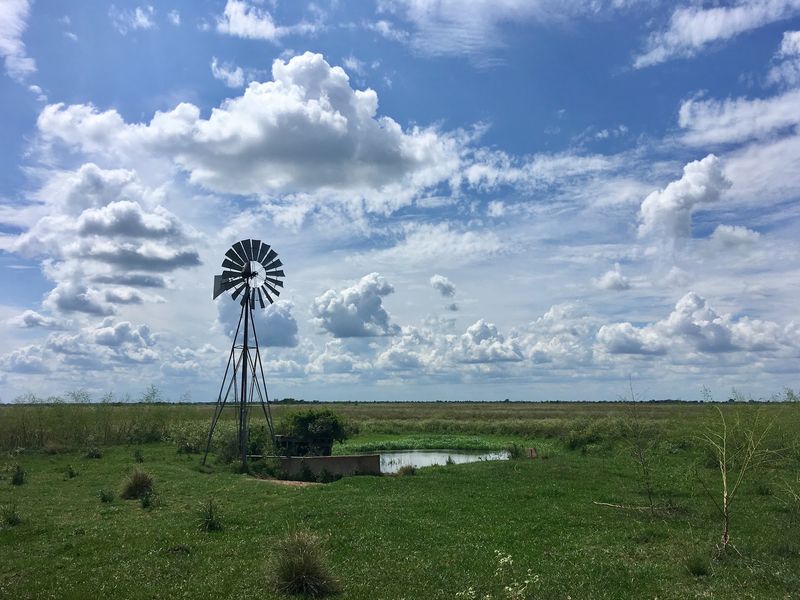 The Coastal Prairie Habitat That Makes This Refuge Unique