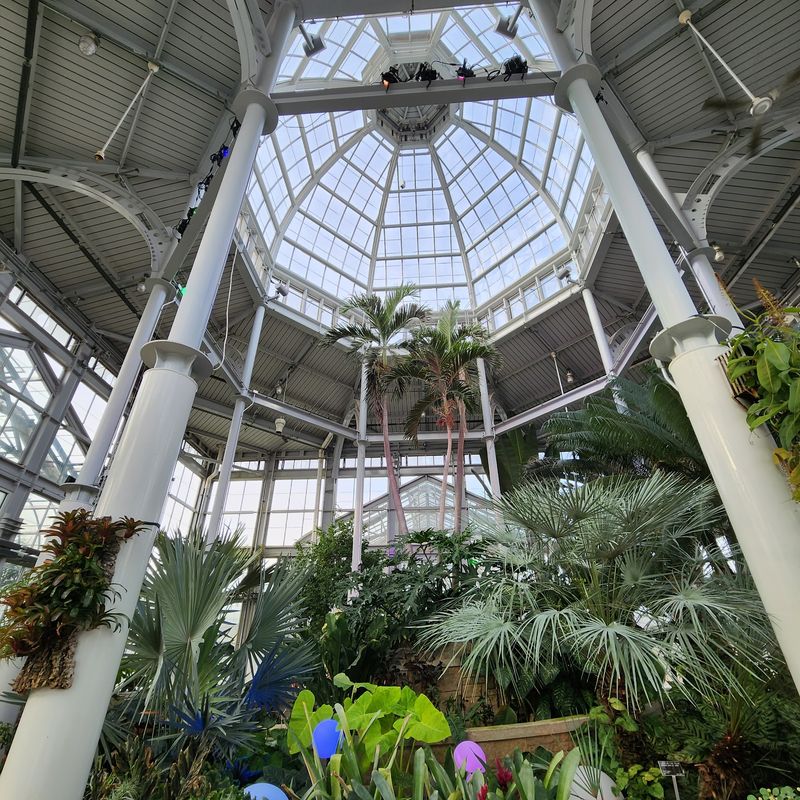 The Conservatory Doubles Down On Drama The Conservatory Doubles Down On Drama