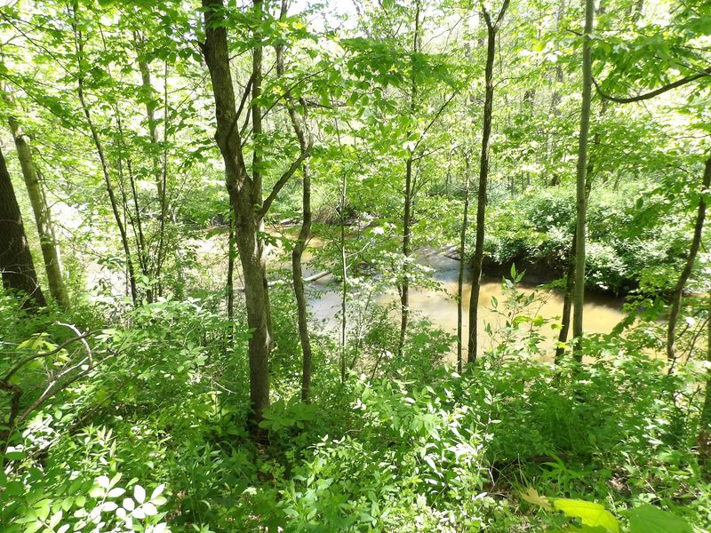 The Creek Bed That Doubles As A Treasure Map