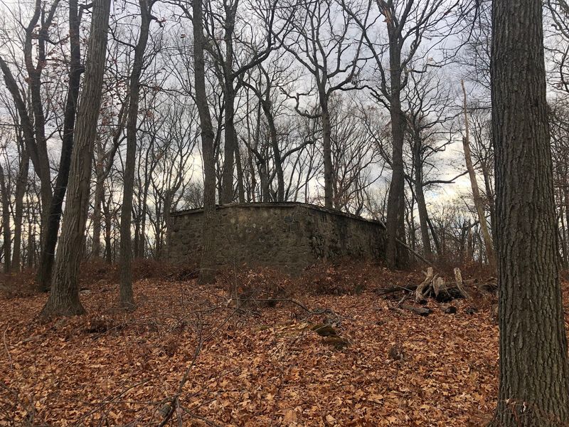 The Crematorium Theory, A Darker Possibility The Crematorium Theory, A Darker Possibility