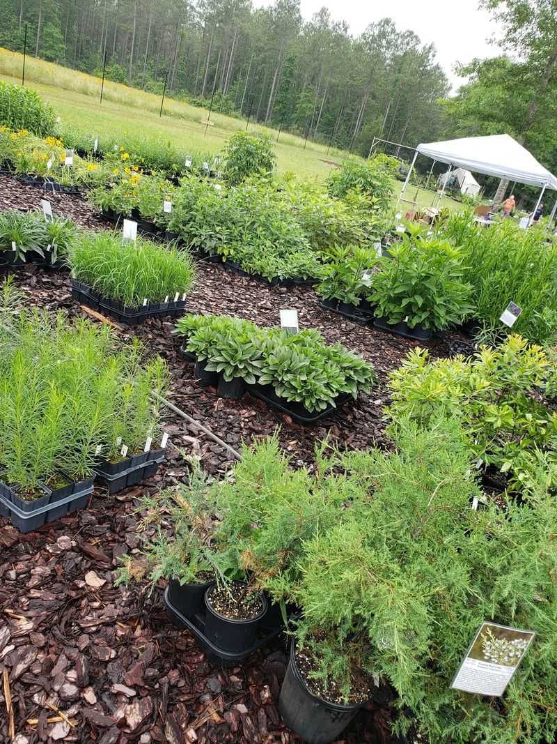 The Demo Garden That Does The Convincing The Demo Garden That Does The Convincing