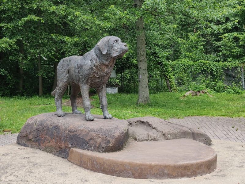 The Dog Park That Shares the Space