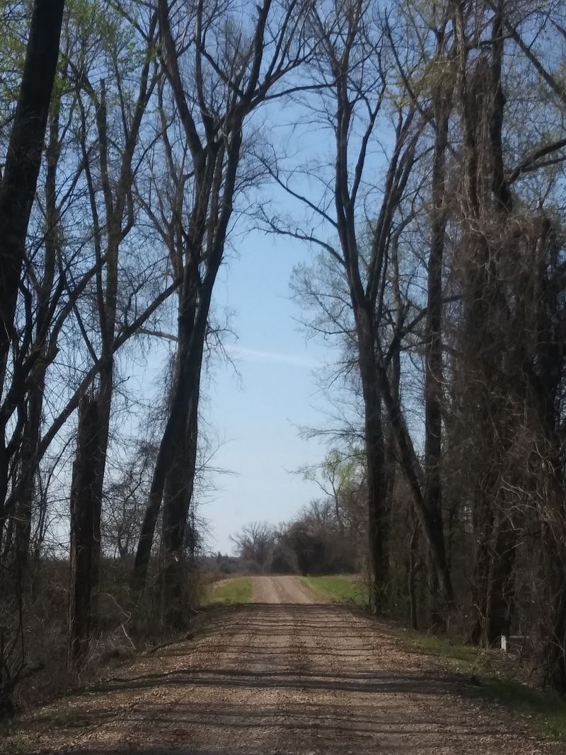 The Drive That Does The Hard Part For You
