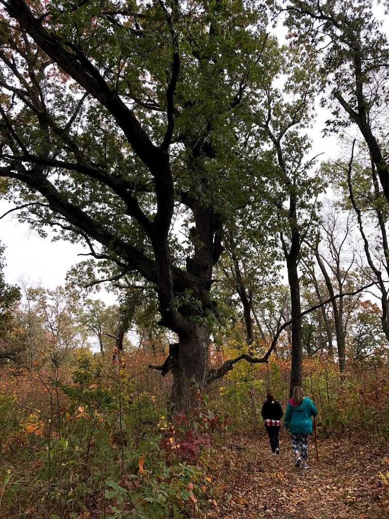 The Dunes And Prairie Trail Keeps Changing Under Your Feet
