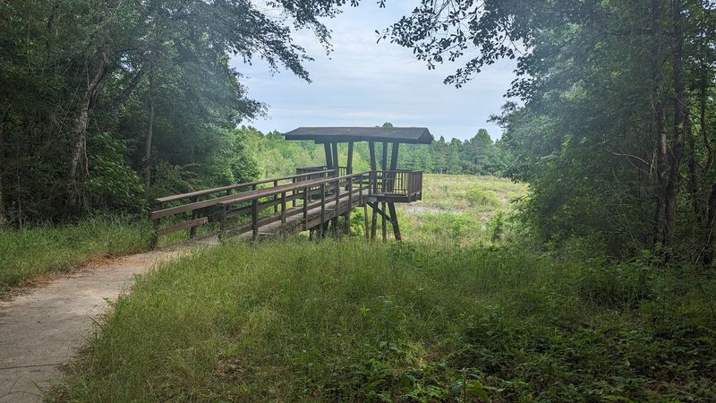 The Elevated Observation Tower With Views Worth Every Step