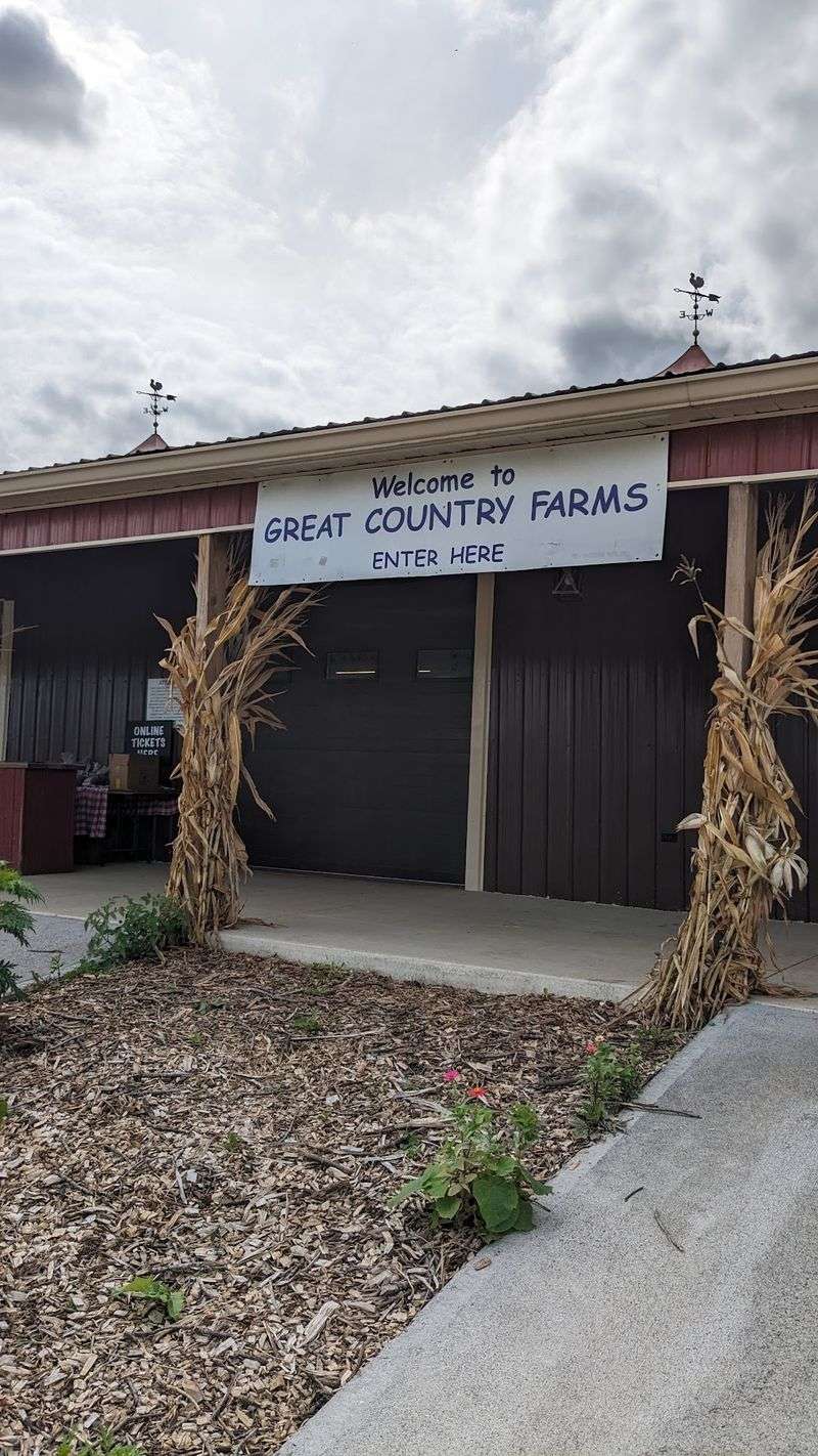 The Farm Store Packed With Fresh Goods and Local Finds The Farm Store Packed With Fresh Goods and Local Finds