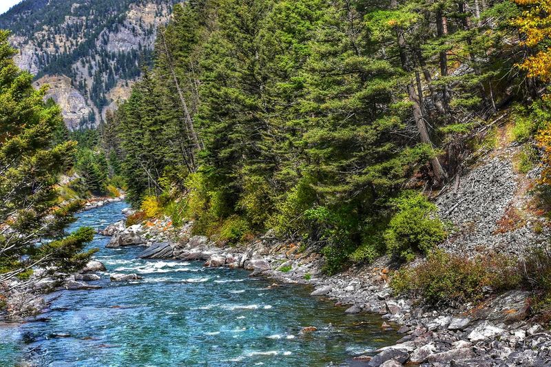 The Gallatin River Is the Town's Second Main Character The Gallatin River Is the Town's Second Main Character