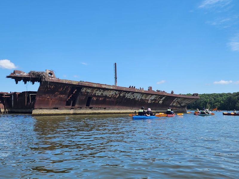 The Ghost Fleet That Never Went to War