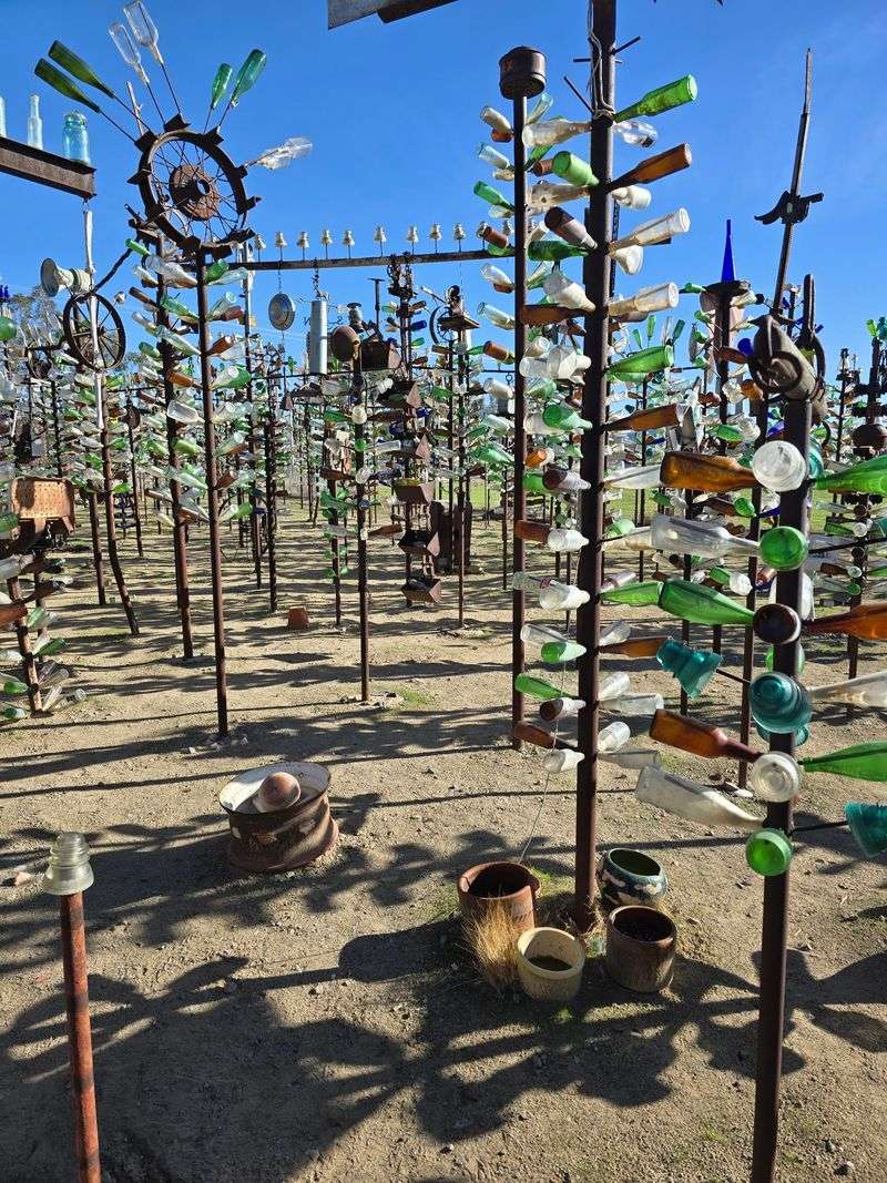 The Glass Forest That Grew from a Father's Collection