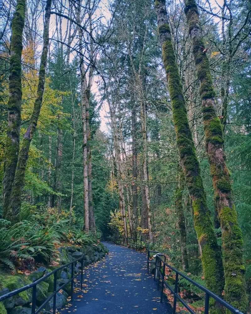 The Great Northwest, Where Local Wildlife Shines