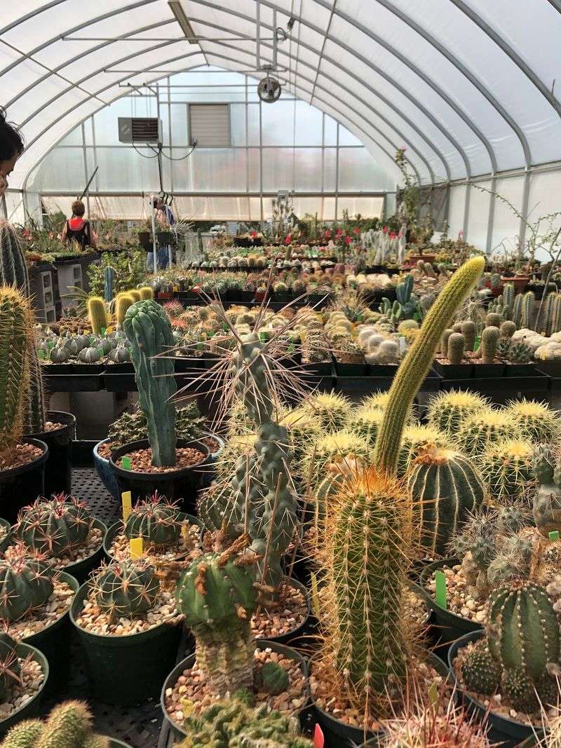 The Growers Behind All Those Pots The Growers Behind All Those Pots
