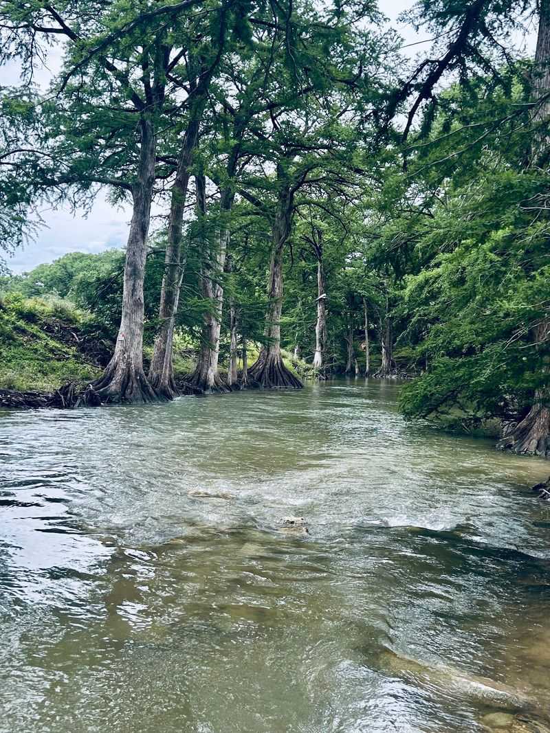 The Guadalupe River Frontage That Makes This Place Worth The Drive The Guadalupe River Frontage That Makes This Place Worth The Drive