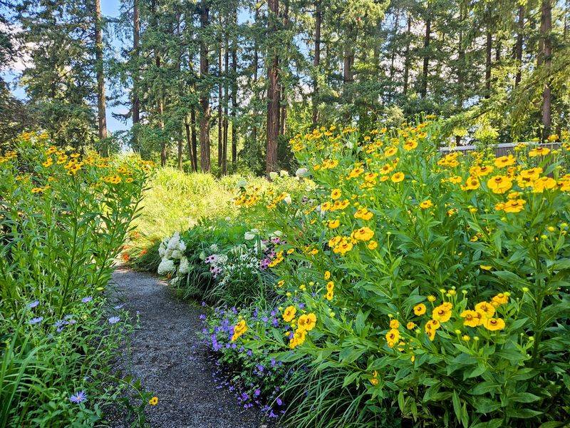 The Half-Acre Pollinator Garden and Meadow