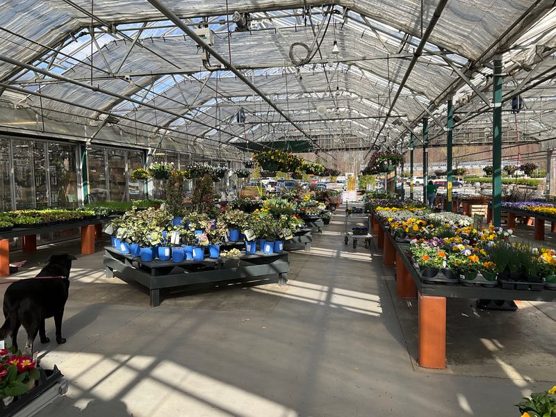 The Incredible 30,000-Square-Foot Glass Greenhouse