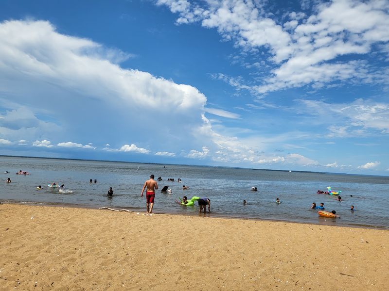 The Jellyfish-Free Swimming Everyone Talks About