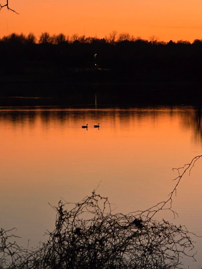 The Lake Keeps Things Moving The Lake Keeps Things Moving