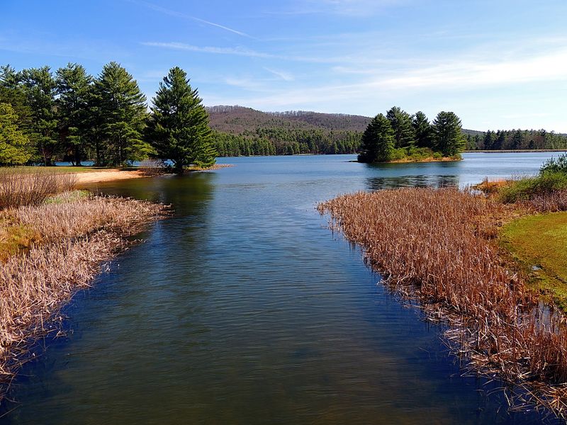 The Largest Lake in Monongahela National Forest The Largest Lake in Monongahela National Forest