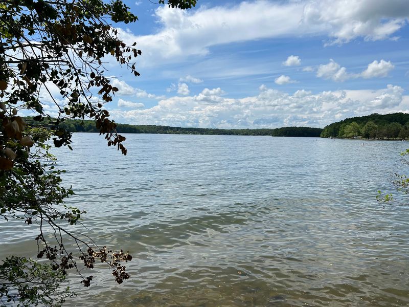 The Late Summer Algal Bloom Situation at Lake Anna