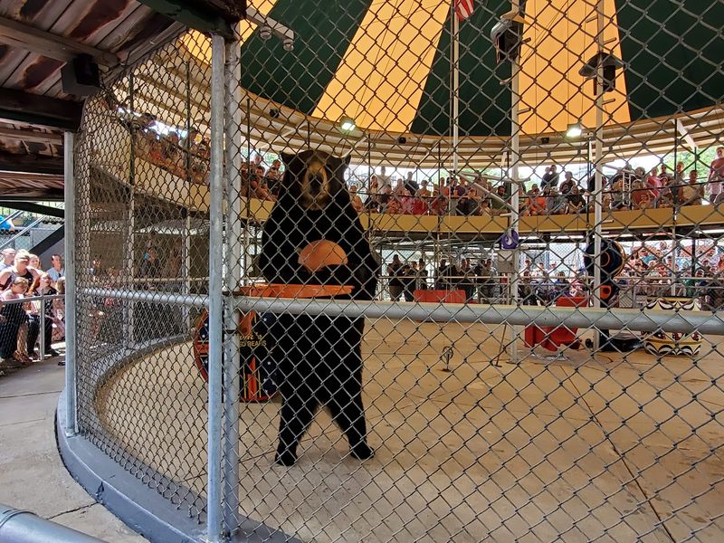 The Legendary Black Bear Show The Legendary Black Bear Show