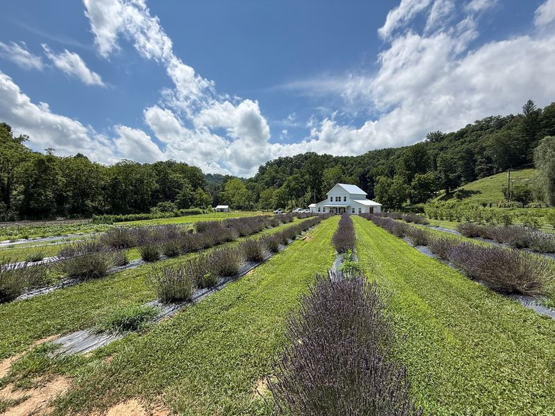 The Little White Barn Store Worth Driving For The Little White Barn Store Worth Driving For