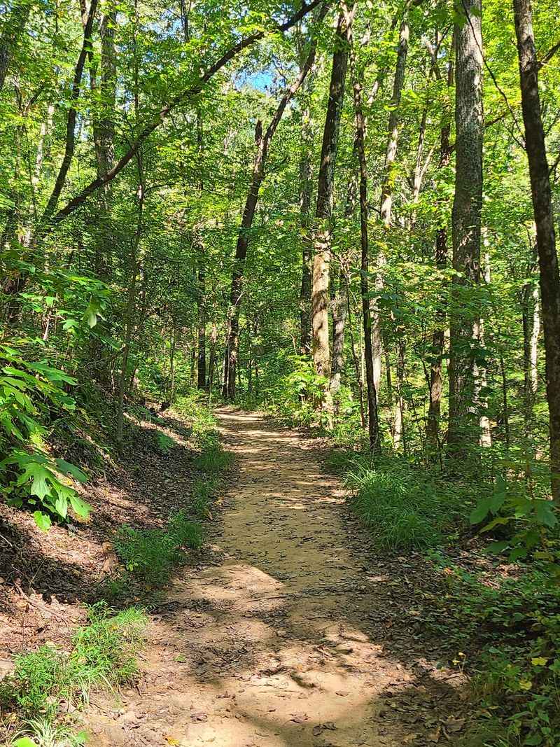 The Lizard Loop and the Ghost of a Railroad That Once Hauled Ore